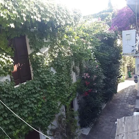 Hotel Old Town Castle House-detached House